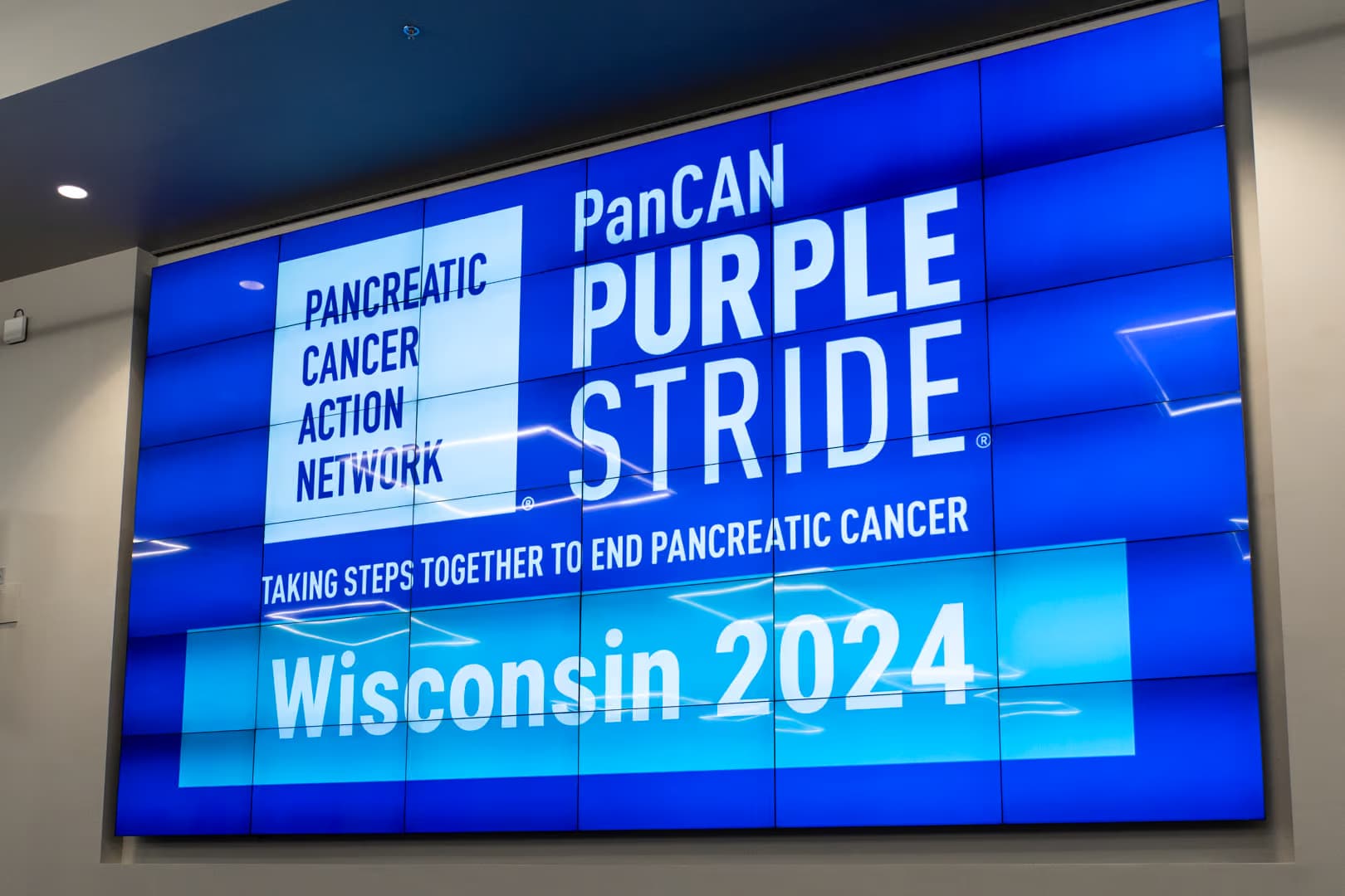 PurpleStride, photograph 3