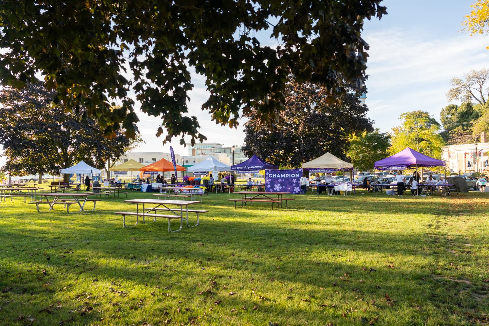 Walk to End Alzheimers, photograph 2