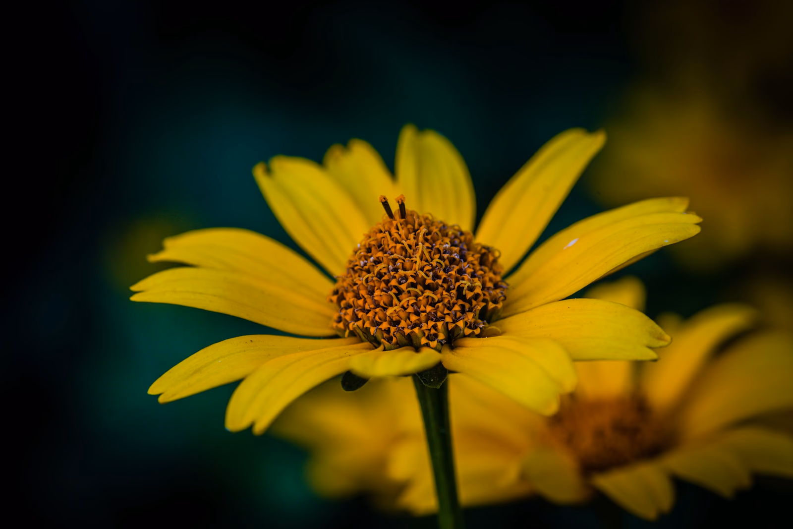 From Brent Balzer’s photography portfolio, photograph 14